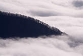 20061129_125100 Costa di Rebbia tra le nubi