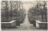 Milano - Istituto Marcelline (giardino)