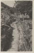 1905-no-vi Mulatiera Sanatorio_senno-00080A-MV1alpi