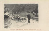 1904-no-vi In cerca di pascolo sul Monte Spluga_ProFo -00001A-CH1camp