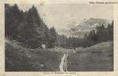 1949-08-14-Bosco di Primolo m. 2000_nanig-00003A-VM2chie