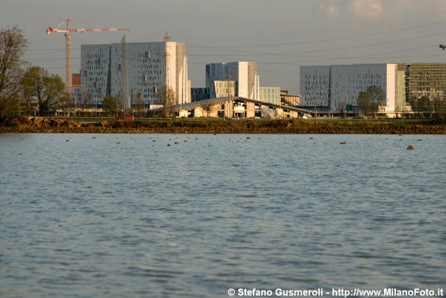  MilanoFiori Nord spunta dalle risaie - click to next image