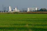 20090922_175110 MilanoFiori