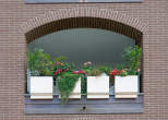 20110708_181839 Loggia fiorita
