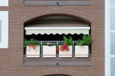 20110708_182853 Loggia fiorita
