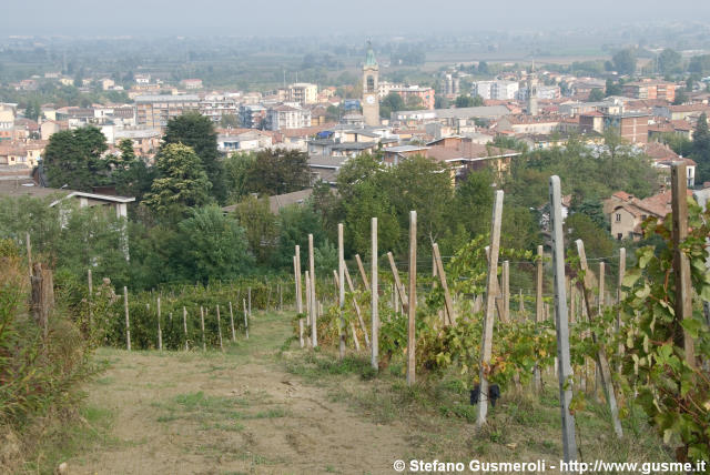  Vigna - click to next image