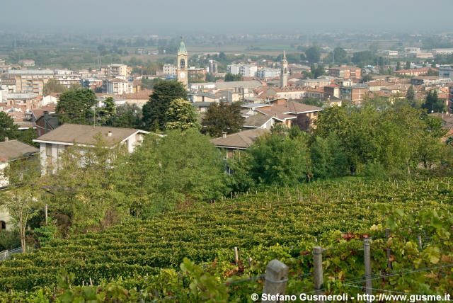  Broni dai vigneti Scovenna - click to next image