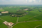 20090702_144339 Campi presso la Cascina Battaglia - Olevano di Lomellina