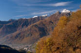 20101105_111013 Chiavenna tra i boschi autunnali