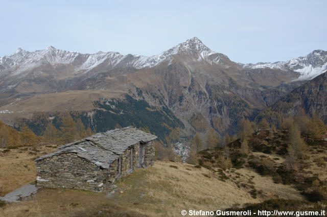  Stalle - click to next image