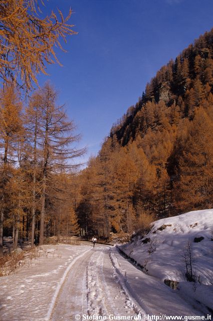  Strada per Bondeno innevata - click to next image