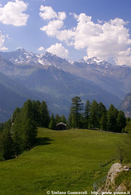  Il campo da calcio di Bondeno - click to next image
