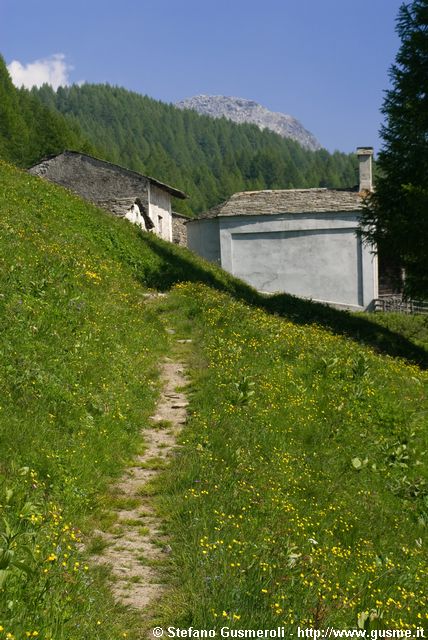  Sentiero per Bondeno di mezzo - click to next image
