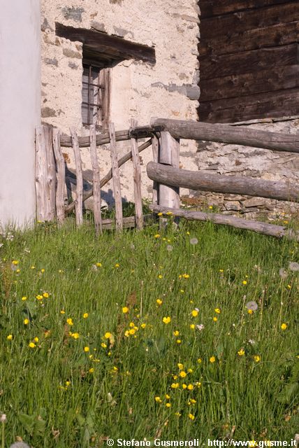  Prati fioriti - click to next image