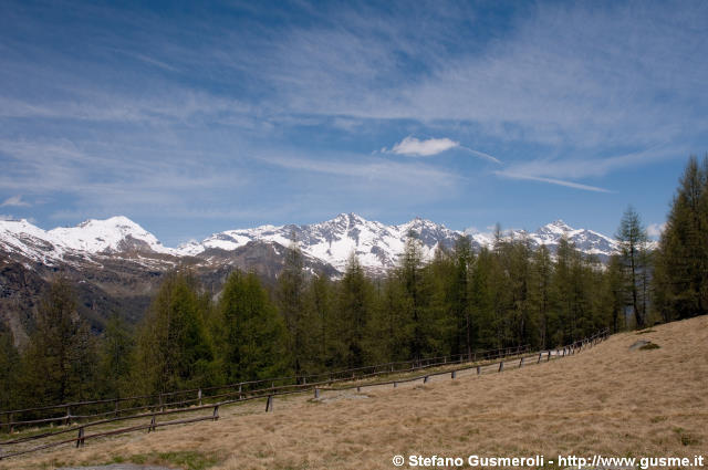  Cime dal pratone tra Bondeno e Avero - click to next image