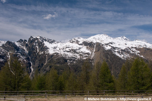  Cime dal pratone tra Bondeno e Avero - click to next image