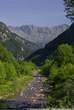 20060615_093614 Liro