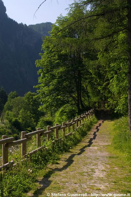  Sentiero dei lamponi - click to next image