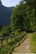 20060615_093730 Sentiero dei lamponi