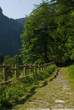 20060615_093749 Sentiero dei lamponi