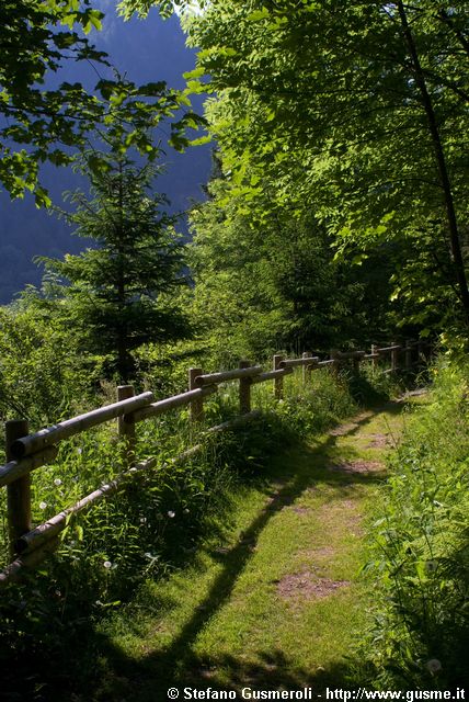  Sentiero dei lamponi - click to next image