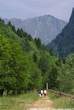 20060615_110833 Sentiero dei lamponi