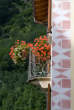 20070824_170255 Palazz