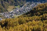 20091026_114041 Boschi di larici e Campodolcino