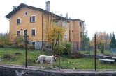 20091031_160935 Via Acero 11