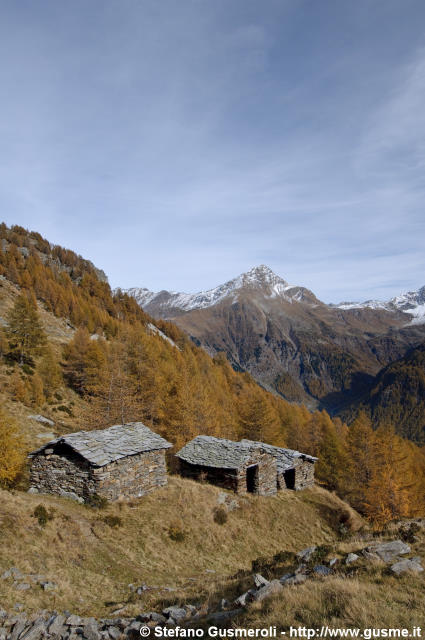  Colvedro - click to next image