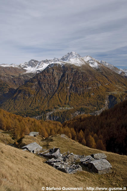  Colvedro - click to next image