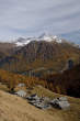 20091028_133602 Colvedro