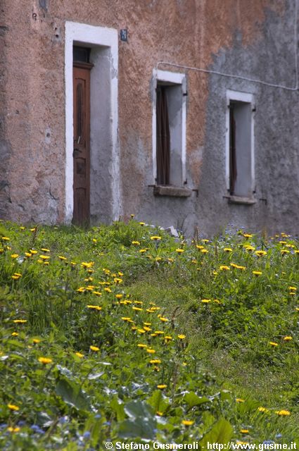  Scorcio fiorito - click to next image