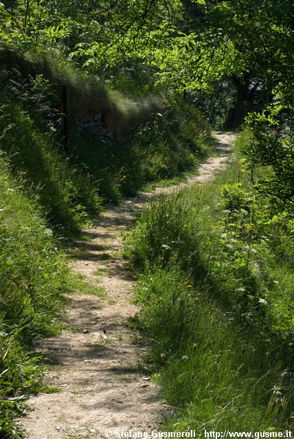  Sentiero per la grotta di Lourdes - click to next image