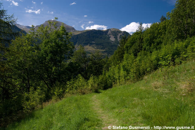  Sentiero tra Campodolcino e Fraciscio - click to next image