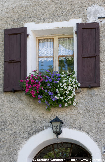  Finestra fiorita - click to next image