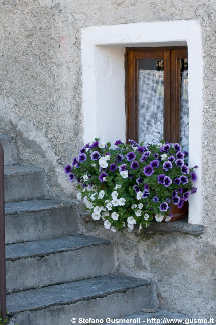  Finestra fiorita - click to next image
