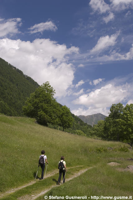  Nei prati presso Portarezza - click to next image