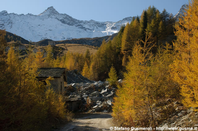  Strada presso la cava - click to next image