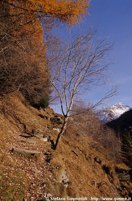  Sentiero per Servizio - click to next image