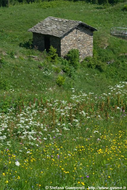  Pascoli e baite di Splughetta - click to next image