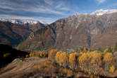 20101104_125509 Boschi autunnali in bassa bregaglia