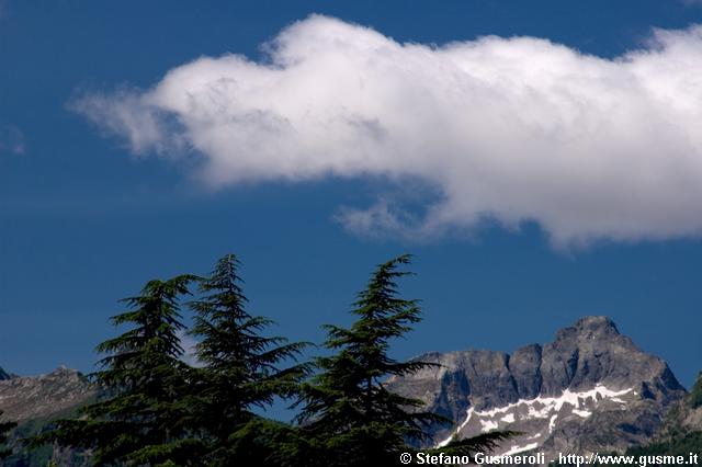  Abeti e pizzo Cavregasco - click to next image