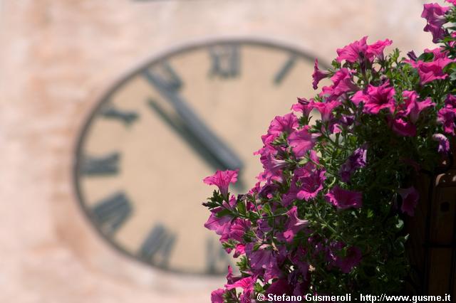  Petunie e orologio S.Bartolomeo - click to next image