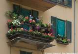 20060713_134035 Balcone fiorito in via Bossi