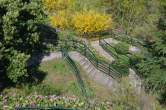 20130417_123302 Parco Paradiso fiorito