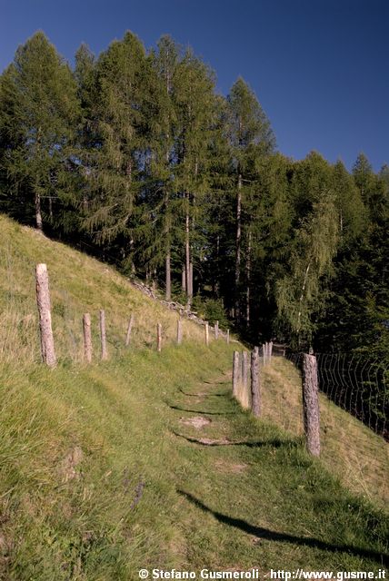  Sentiero tra le alpi Cermine e Orlo - click to next image