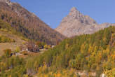 20061030_110700 Alpe Cermine e Pizzaccio