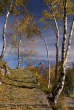 20061030_134249 Mulattiera tra le alpi Orlo e Cermine