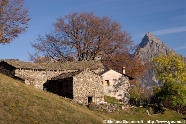  Alpe Cermine - click to next image